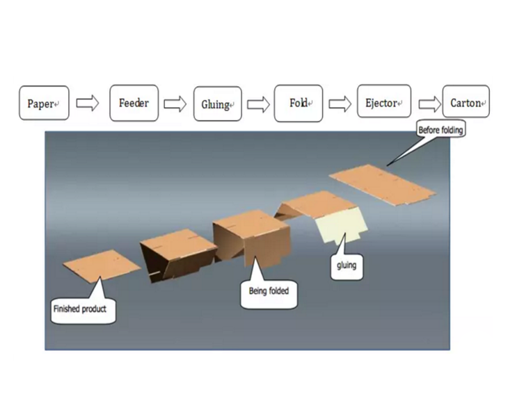 flexo folder gluer manufacturer